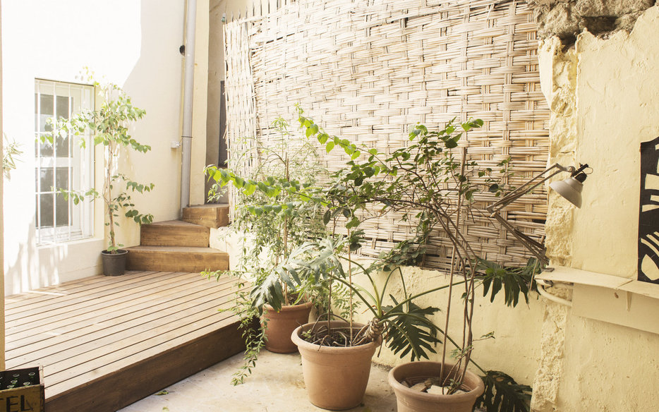 The garden deck with plants