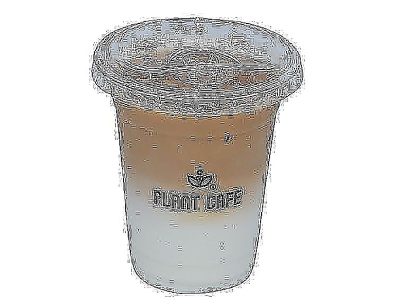 Iced Spanish Latte